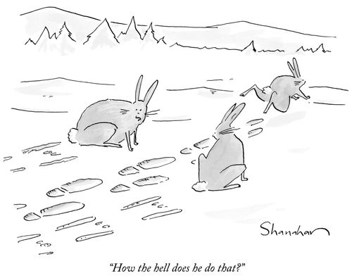 "How the hell does he do that?"