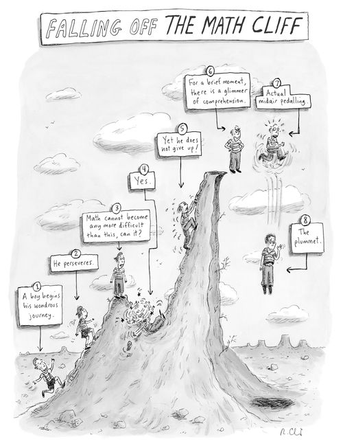Falling off the Math Cliff
