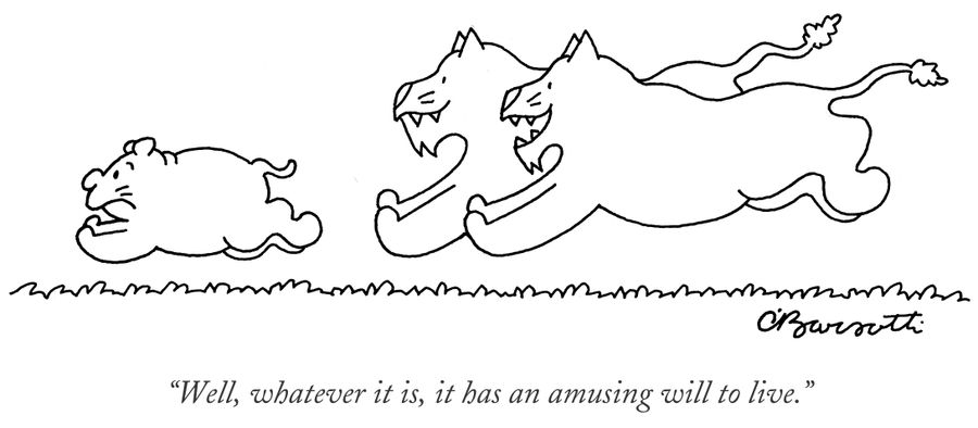 "Well, whatever it is, it has an amusing will to live."