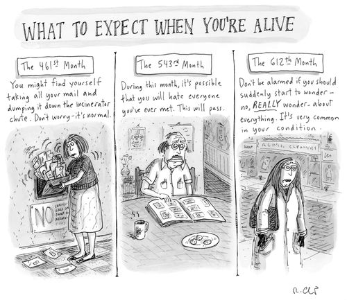 "What to Expect When You're Alive"