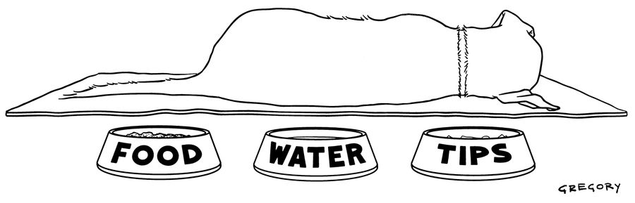 Food, Water And Tips