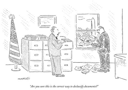 "Are you sure this is the correct way to declassify documents?"