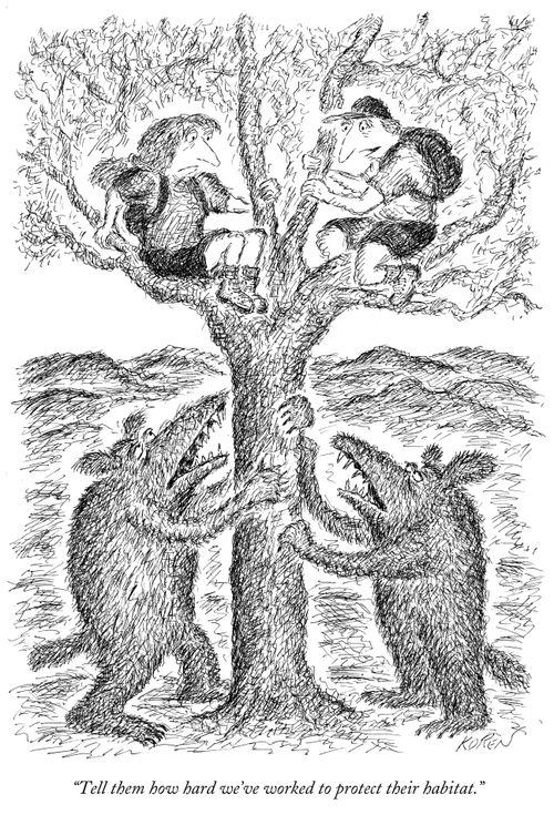 "Tell them how hard we've worked to protect their habitat."