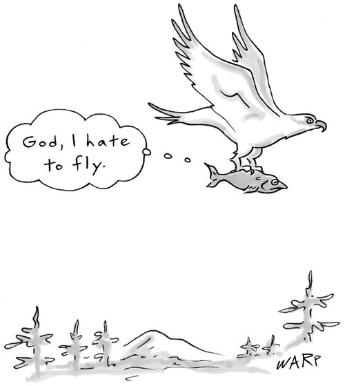 "God, I hate to fly."