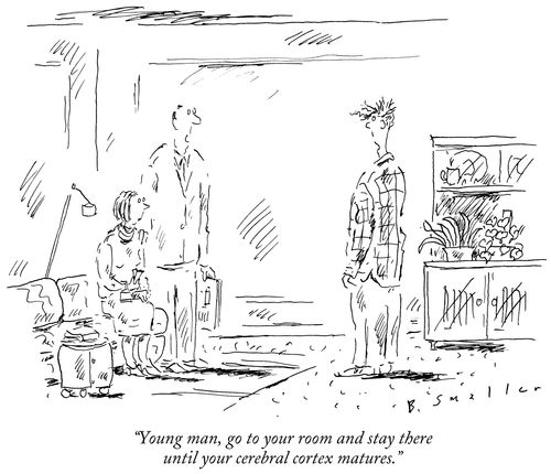"Young man, go to your room and stay there until your cerebral cortex matures."