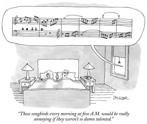 "These songbirds every morning at five A.M. would be really annoying if they weren't so damn talented."