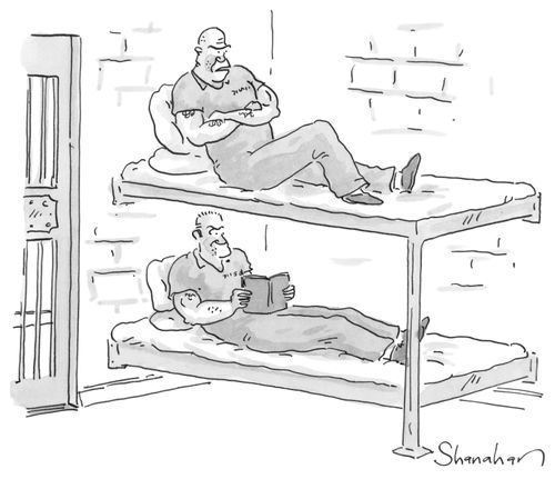 Bunk Bed Prisoners