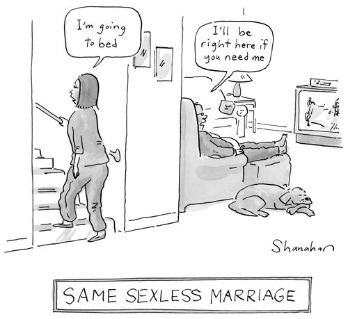 Same Sexless Marriage
