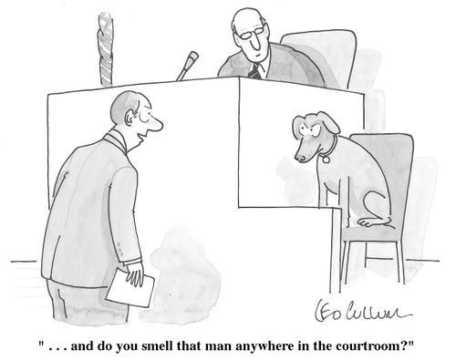 "...and do you smell that man anywhere in the courtroom?"
