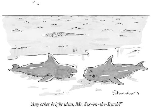 "Any other bright ideas, Mr. Sex-on-the-Beach?"