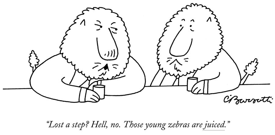 "Lost a step? Hell, no. Those young zebras are juiced."