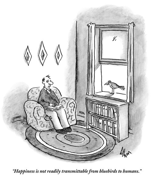 "Happiness is not readily transmittable from bluebirds to humans."