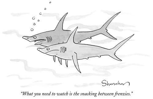 "What you need to watch is the snacking between frenzies."