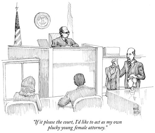"If it please the court, I'd like to act as my own plucky young female attorney."