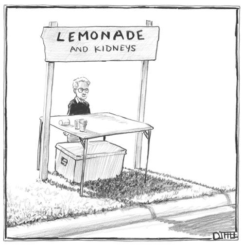 'Lemonade And Kidneys'