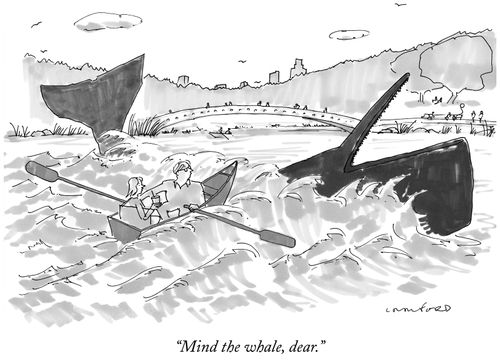 "Mind the whale, dear."