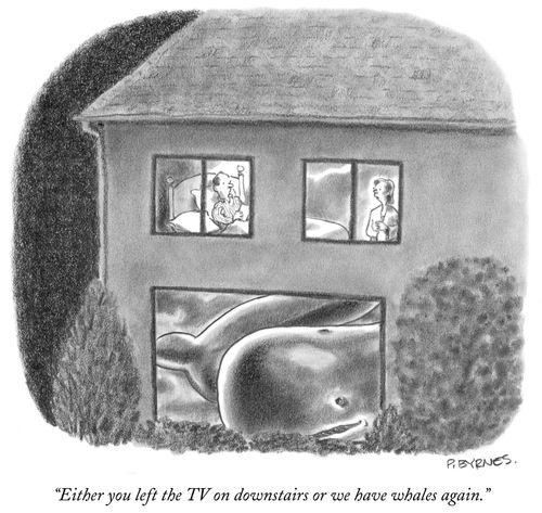 "Either you left the TV on downstairs or we have whales again."