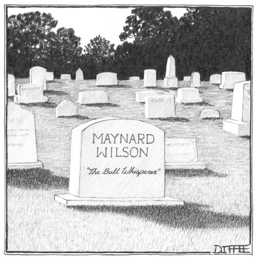 Maynard Wilson - "The Bull Whisperer"