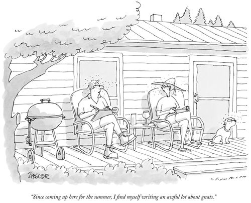 "Since coming up here for the summer, I find myself writing an awful lot about gnats."