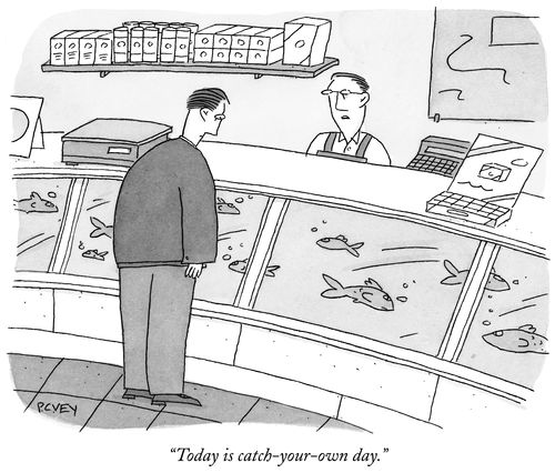 "Today is catch-your-own day."