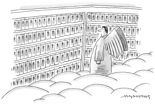 Library In Heaven Stocks The Bible And Only The Bible