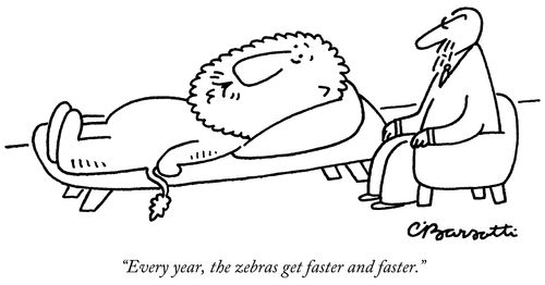 "Every year, the zebras get faster and faster."