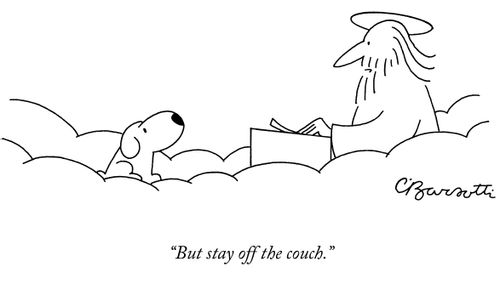 "But stay off the couch."