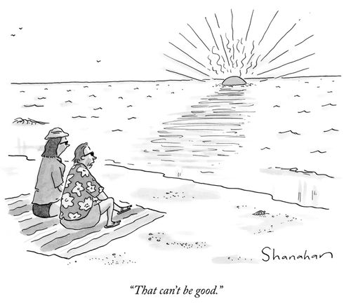 "That can't be good."