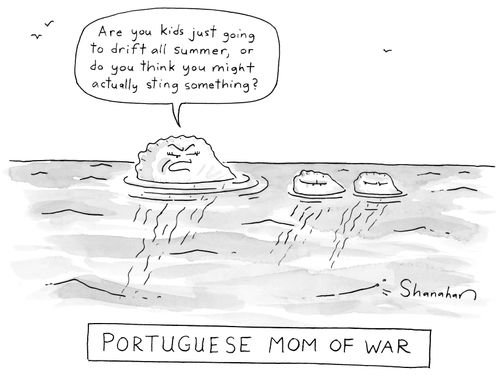Portuguese Mom of War