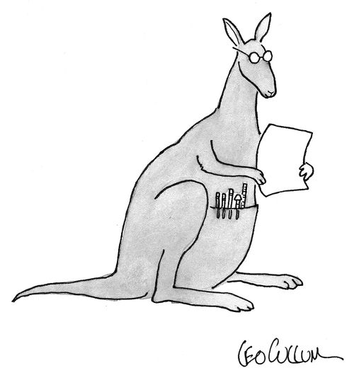 Kangaroo Pocket