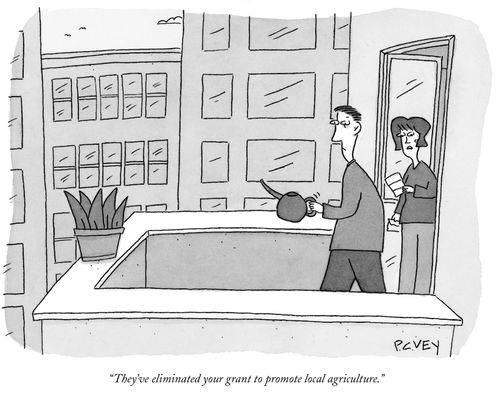 "They've eliminated your grant to promote local agriculture."