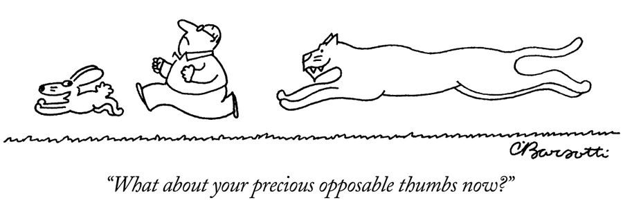 "What about your precious opposable thumbs now?"