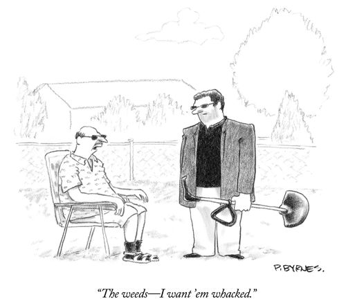 "The weeds - I want 'em whacked."