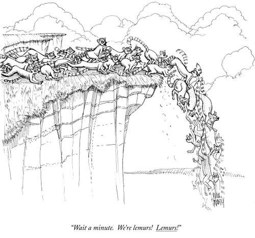 "Wait a minute. We're lemurs! Lemurs!"