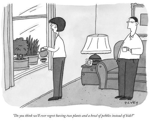 "Do you think we'll ever regret having two plants and a bowl of pebbles instead of kids?"
