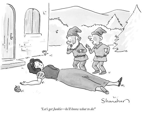 "Let's get Junkie—he'll know what to do!"