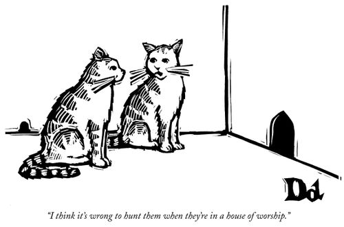 "I think it's wrong to hunt them when they're in a house of worship."