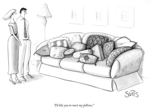 "I'd like you to meet my pillows."