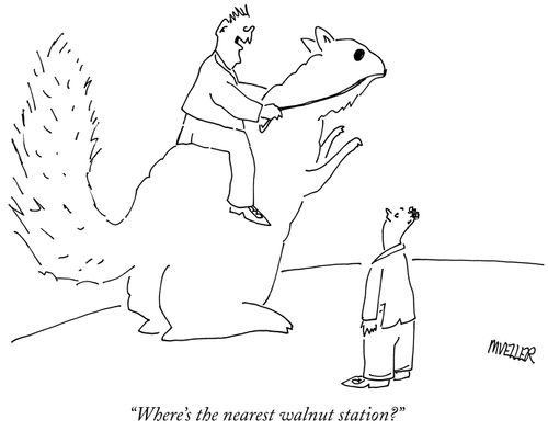 "Where's the nearest walnut station?"
