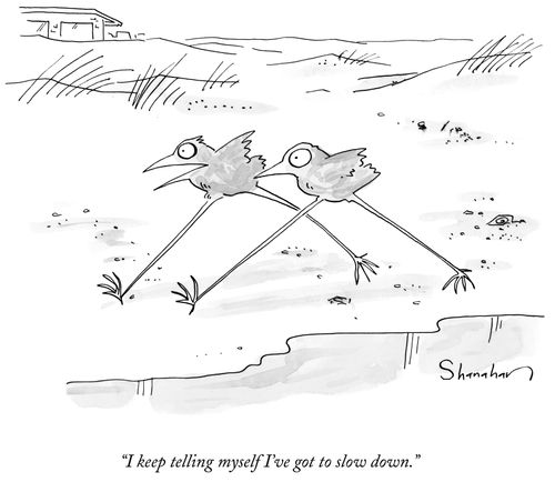"I keep telling myself I've got to slow down."