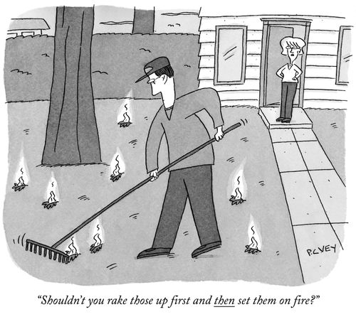 "Shouldn't you rake those up first and then set them on fire?"