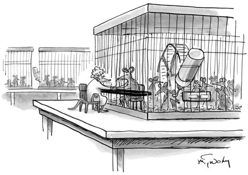 A mother visits a lab rat.