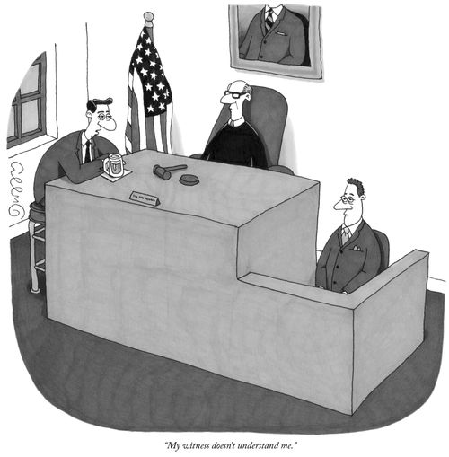 "My witness doesn't understand me."