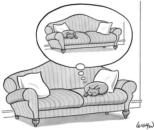 Sleeping Cat Dreams Of Other Side Of Couch
