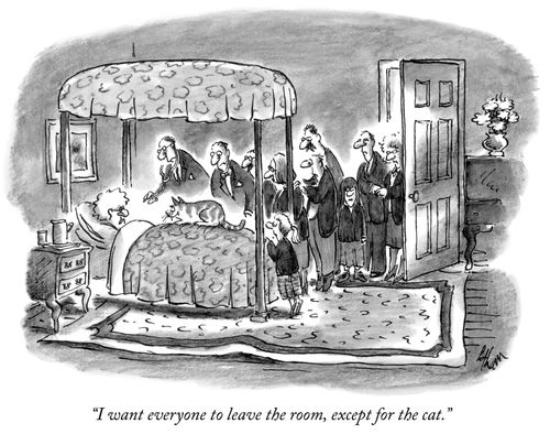 "I want everyone to leave the room, except for the cat."