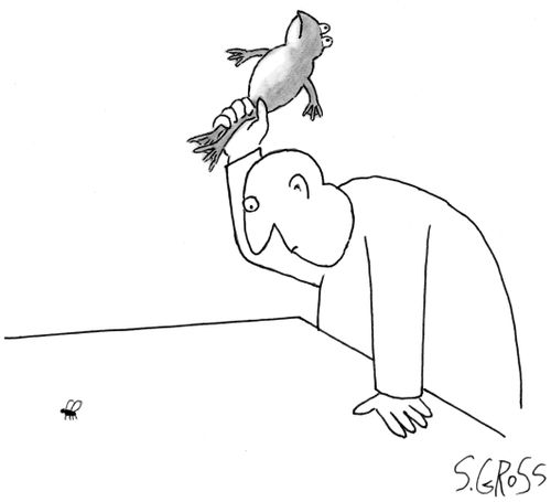 Man About To Swat Fly With Live Frog