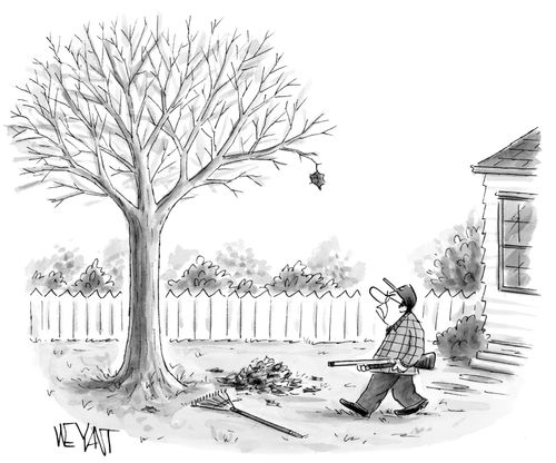 A man moves to shoot the last leaf from a tree in autumn.