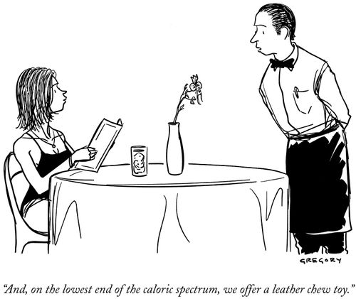 "And, on the lowest end of the caloric spectrum, we offer a leather chew toy."