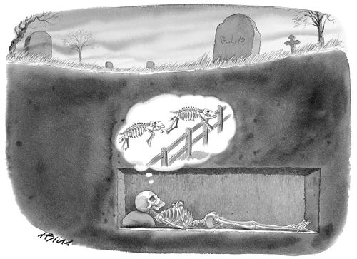 A skeleton counts skeleton sheep