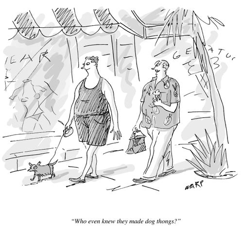"Who even knew they made dog thongs?"